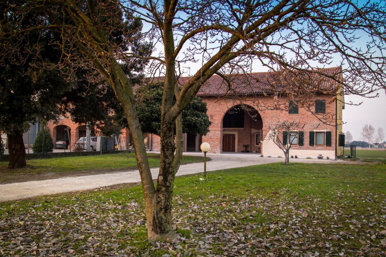 Вилла Casa Norma Piano Terra San Martino di Lupari Экстерьер фото